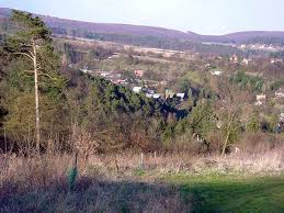 Obrázek
